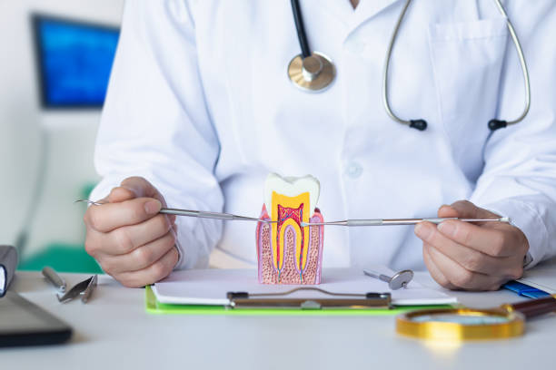 Best Mobile Emergency Dentist in Warrenton, GA